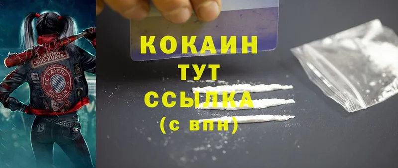 дарнет шоп  Заинск  Cocaine FishScale 