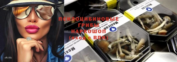 эйфоретик Нефтекумск