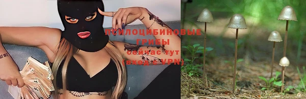 2c-b Надым