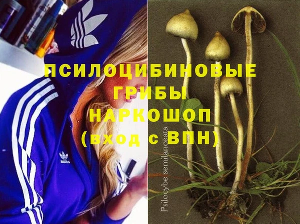 2c-b Надым