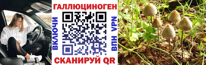 Галлюциногенные грибы Psilocybine cubensis  Заинск 