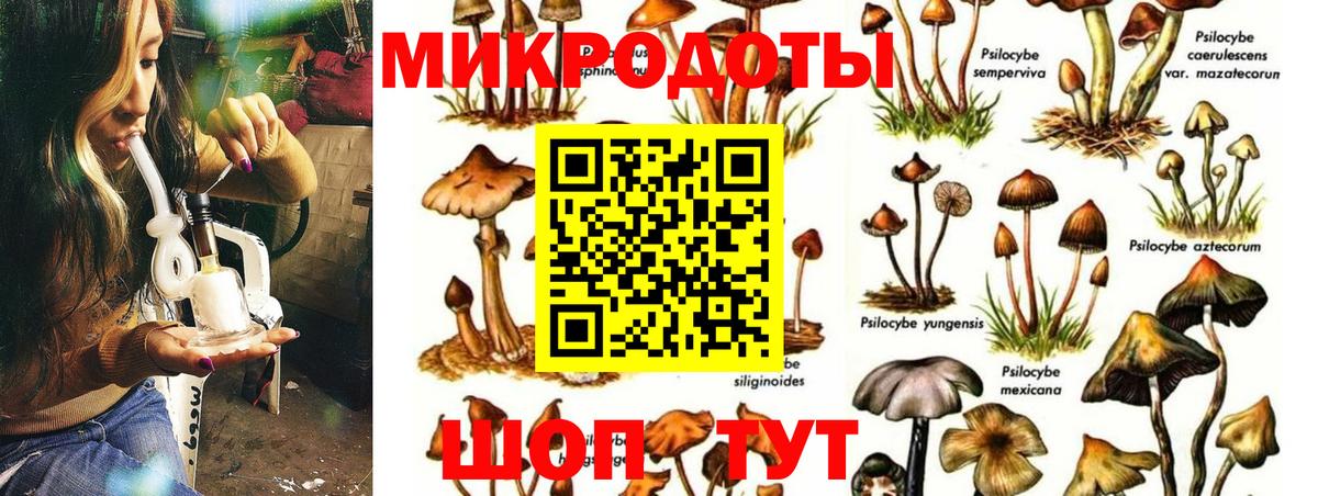 Заинск  Псилоцибиновые грибы Psilocybe  магазин  наркотиков  Вход с VPN 