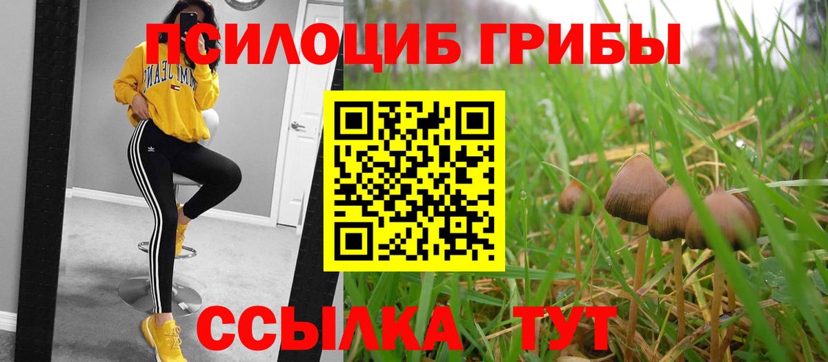 Псилоцибиновые грибы MAGIC MUSHROOMS  Заинск 