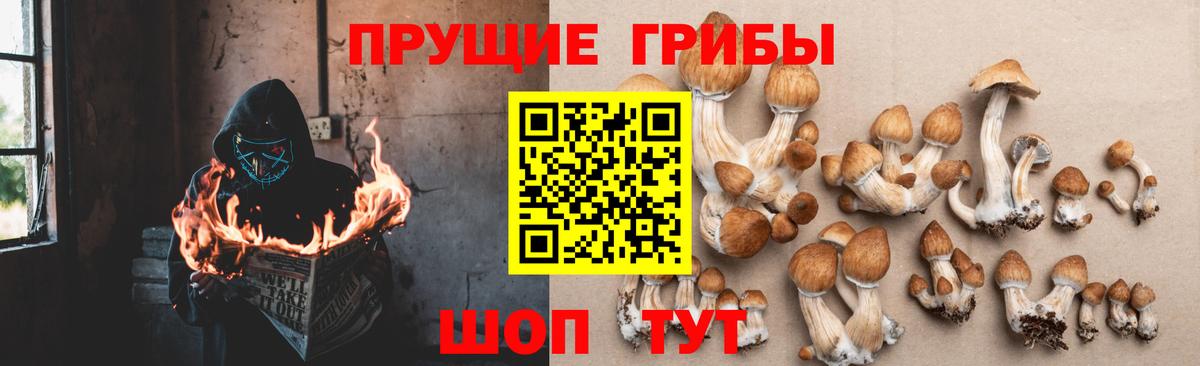 Галлюциногенные грибы Magic Shrooms Заинск