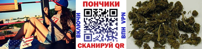 маркетплейс клад  blacksprut ссылка  Заинск  магазин продажи   Канабис THC 21% 